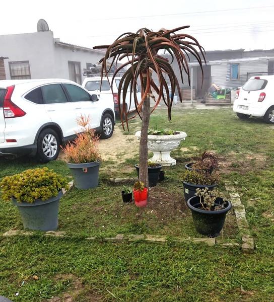 House For Sale in Peerless Park, Kraaifontein